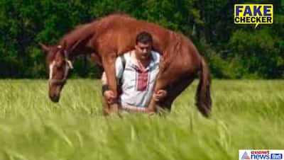 जान बचाने घायल घोड़े को पीठ पर लाद 3 मील चला मालिक? FACT CHECK में जानें वायरल तस्वीर का सच