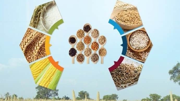 भारत को बड़ी सफलता, 2023  International Year of Millets घोषित; 70 देशों ने UN में किया समर्थन