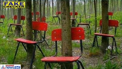 FAKE CHECK: क्या दूसरे विश्वयुद्ध के दौरान खींची गई कुर्सियों के बीच से उगे पेड़ों की ये तस्वीर? जानें सच