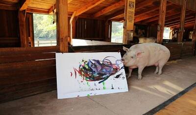 लाखों में बिकती है इस सूअर की बनाई पेंटिंग्स, अब तक कर चुका है 50 लाख रुपए की कमाई