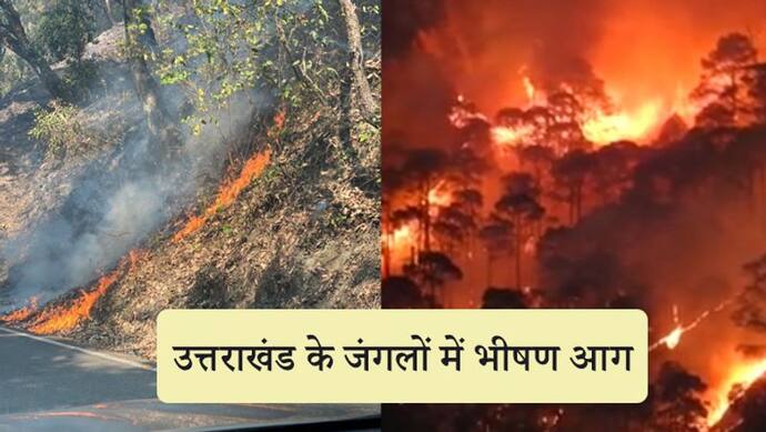 उत्तराखंड के जंगलों में लगी भीषण आग, चार लोगों की मौत, 7 मवेशी भी जले; शाह ने CM रावत से की बात