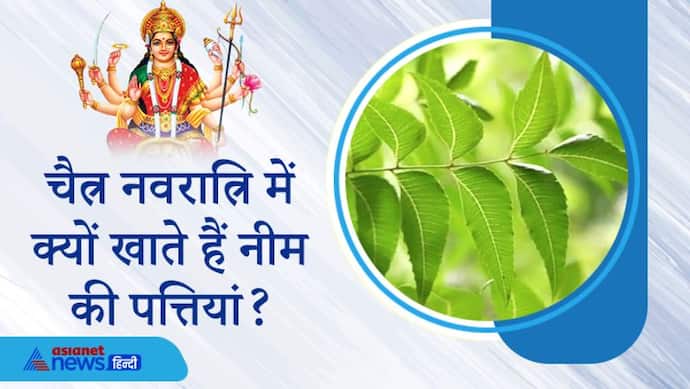 चैत्र नवरात्रि में नीम की पत्तियां चबाने की परंपरा क्यों? जानिए इसके वैज्ञानिक और आयुर्वेदिक कारण