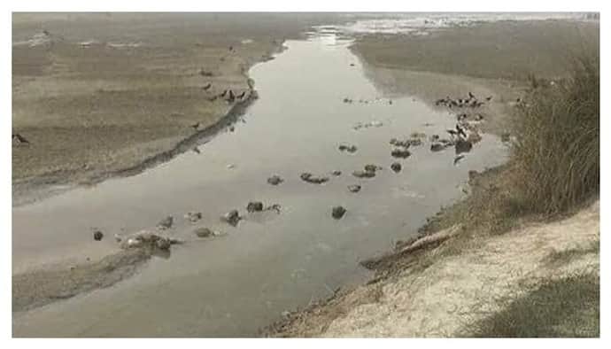Roundup 2021: শত শত কোভিড-১৯ রোগীর মৃতদেহে অপবিত্র হল গঙ্গা নদীর জল