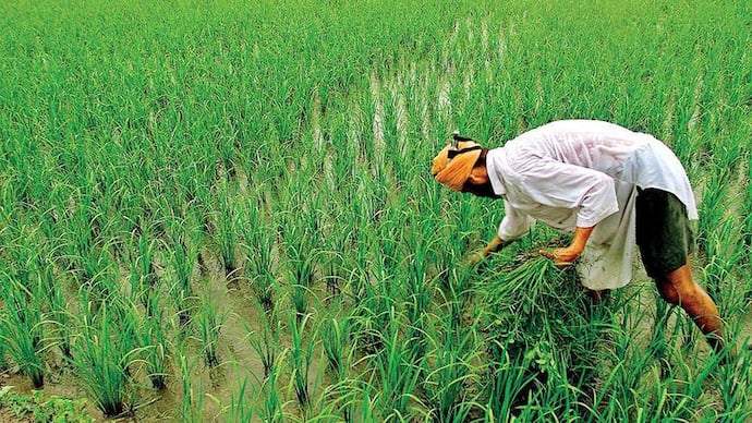 गोरखपुर: आयकरदाता ही नहीं मुर्दों को भी दी जा रही थी किसान सम्मान निधि, जानिए कैसे हुए खुलासा 