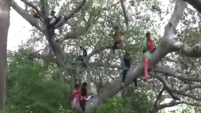 श्रीलंका में गजब की मुसीबत, बच्चों को पेड़ पर चढ़कर करनी पड़ रही पढ़ाई, वजह जानकर चौंक जाएंगे
