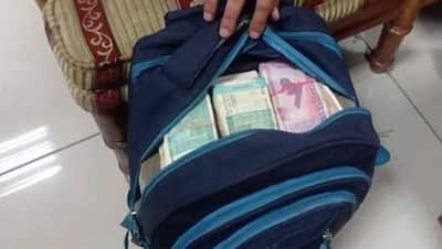 रास्ते में रुपयों से भरा बैग मिला, क्या उसे उठा लेना अपराध है? जानें काम के ऐसे ही सवालों के जवाब