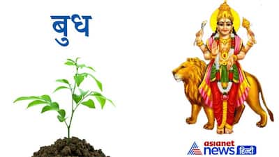 Hariyali Teej 11 अगस्त को, इस दिन जन्म तारीख के अनुसार पौधे लगाने से दूर होते हैं ग्रह दोष