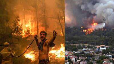 यह आग कब बुझेगी: ये भयंकर तस्वीरें ग्रीस के एविया द्वीप की हैं, जो आग की भट्टी बन गया है, 586 जंगल खाक