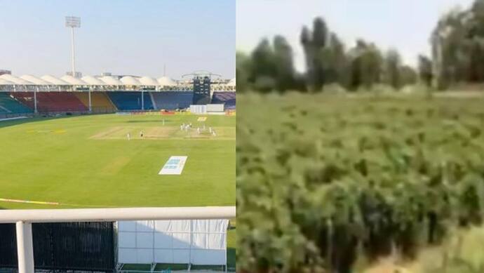 পাকিস্তানের ক্রিকেট স্টেডিয়ামে চলছে লাউ-কুমড়ো-লঙ্কা চাষ, দেখুন ভাইরাল ভিডিও