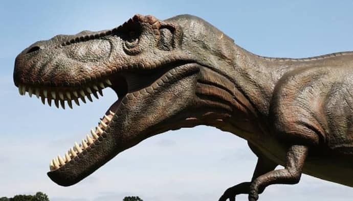 Dinosaur: নতুন প্রজাতির ডাইনোসরর সন্ধান, ব্রাজিল ছিল দৈত্যাকার প্রানীদের চারণভূমি
