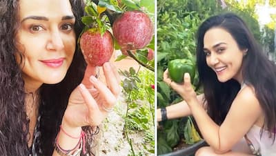 प्रिटी जिंटा मुंबई की ग्लैमरस दुनिया छोड़ अपने फॉर्महाउस में कर रहीं एन्जॉय, सेब के बाग से शेयर की PHOTO