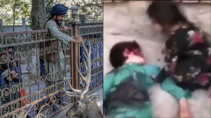 Shocking Video: तालिबान ने मासूम को दी बेरहमी से मौत; उसके पिता के विरोधियों के साथ होने का था शक