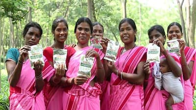 अब मध्य भारत के इस राज्य में होगी चाय- कॉफी की खेती, टी कॉफी बोर्ड का होगा गठन