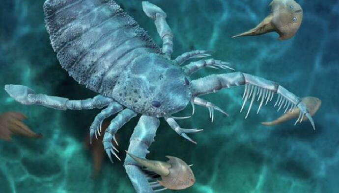 Sea Scorpions: সমুদ্রের তলায় ঘুরে বেড়াত কুকুরের সমান আকারের বিছে, ছবি দেখলে চমকে উঠবেন
