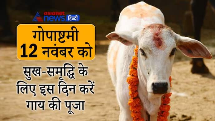 Gopashtami 2021: गोपाष्टमी 12 नवंबर को, इस दिन गाय की पूजा करने से घर में बनी रहती है सुख-समृद्धि