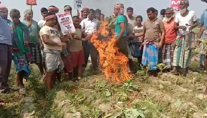 Farmer Protest-জ্বালানি-সারের মূল্যবৃদ্ধিতে নাজেহাল, ফসল পোড়ালেন কৃষকরা