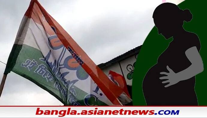 TMC: জমি মাফিয়াদের প্রস্তাবে রাজি না হওয়ার 'সাজা',  তৃণমূল নেতাদের হাতে আক্রান্ত গর্ভাবতী ঘালফুল কর্মী