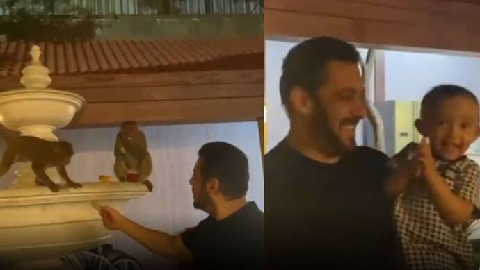 Salman Khan ने भांजी को गोद में उठा बंदरों को खिलाया बिस्किट तो खुशी से झूम उठी Arpita की बेटी आयत