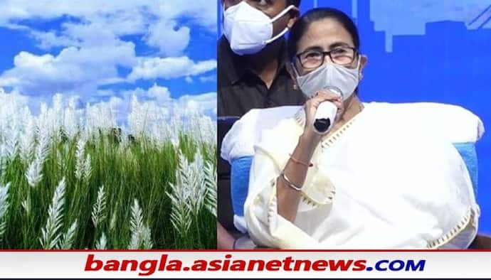 Mamata Banerjee: 'কাশফুল থেকে বালিশ', 'দুয়ারে হাঁসের পালক' সহ নয়া শিল্পের 'আইডিয়া' মমতার