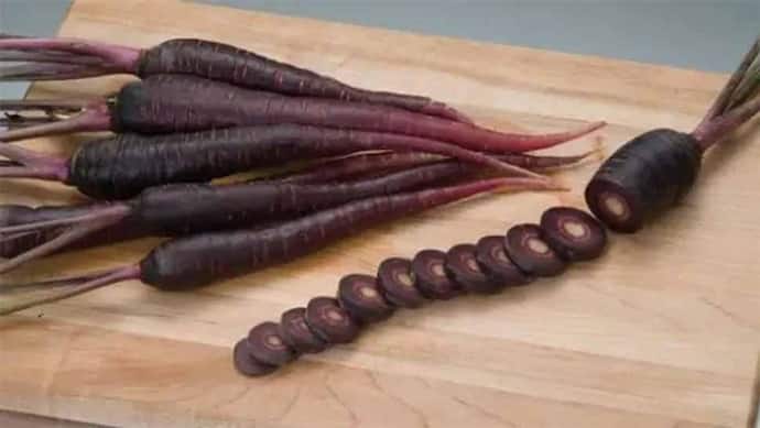 Black Carrots Benefits: क्या कभी देखी है काली रंग की गाजर, खाने और सेहत में लाल से होती है ज्यादा गुणकारी