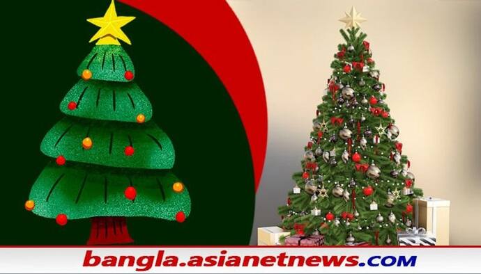 Christmas 2021: বড়দিন হোক অন্যরকম, নিজে হাতে বানান ক্রিসমাস ট্রি, জেনে নিন কীভাবে বানাবেন