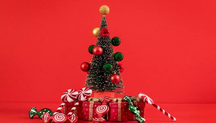 History Of Christmas Tree: বড়দিনে কেন সাজানো হয় ক্রিসমাস ট্রি, জেনে নিন এই রীতি এল কোথা থেকে