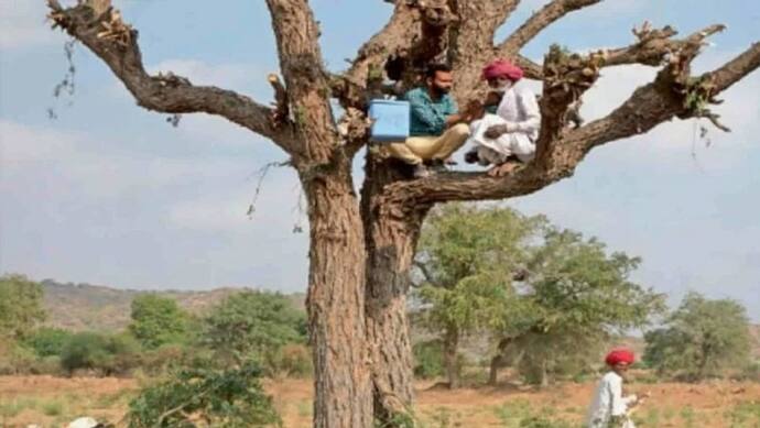 Omicron को हराने वाली शानदार तस्वीर: चरवाहे को पेड़ पर चढ़कर लगाई कोरोना वैक्सीन, इस वजह से नीचे नहीं उतरा