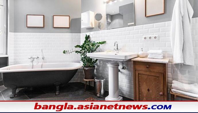 Vastu Tips For Bathroom: বাস্তু মেনে সাজান স্নান ঘর, দূর হবে সকল বাধা