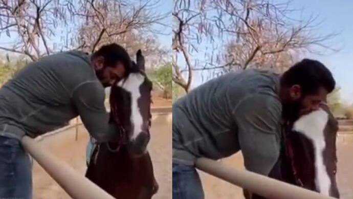 घोड़े पर सिर रख सोते नजर आए Salman Khan, फिर अचानक उठे और सहलाने लगे अपने पालतू को, चूमा माथा भी