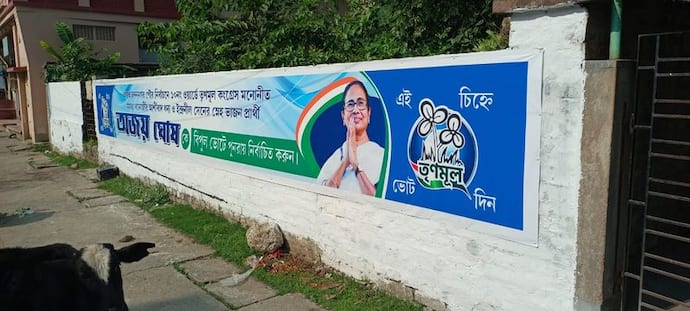 Chandannagar Municipal Election: সময় ও অর্থ বাঁচাতে অভিনব প্রয়াস, দেওয়ালে লাগল ফ্লেক্স