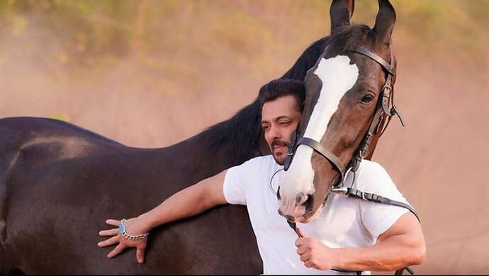 घोड़े के गले लग Salman Khan ने प्यार से फेरा हाथ, लोग बोले- जब भाईजान की चलती है तो हेटर्स की जलती है
