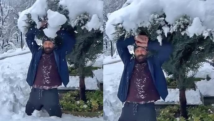 पेड़ों पर जमी बर्फ से खेलते दिखे Sunny Deol, पापा Dharmendra ने वीडियो शेयर कर बयां की अपने दिल की ख्वाहिश