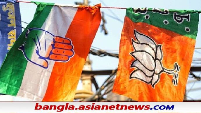 Congress BJP Flags