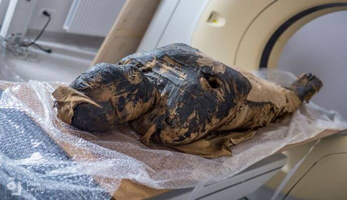 मिस्र में वैज्ञानिकों को पहली बार मिली अनोखी Mummy, जिसे समझ रहे थे पुरूष, वह निकली प्रेगनेंट महिला