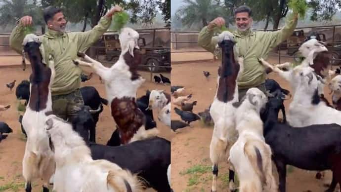 काम छोड़ बकरियों को घास खिलाते नजर आए Akshay Kumar, बताया- छोटी-छोटी चीजों में मिल रही बड़ी खुशियां