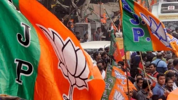 BJP के संकल्प पत्र से बदलेगा चुनाव का रुख? पार्टी बोली- इसमें सबका साथ सबका विकास