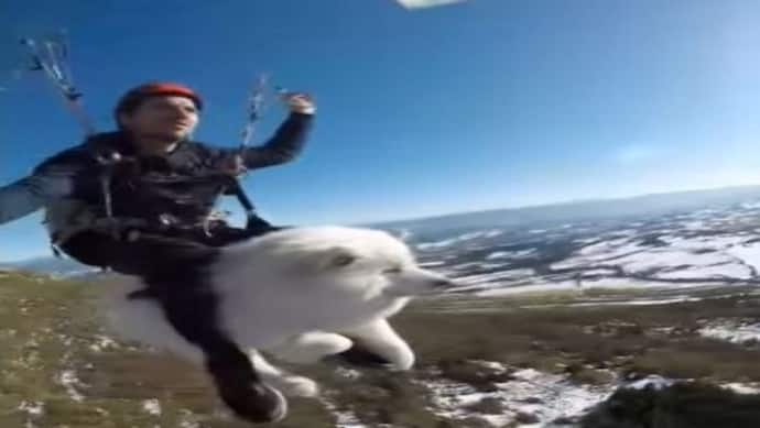 वायरल हो रहा कुत्ते और उसके मालिक का पैराग्लाइडिंग करते हुए अनोखा Video, मजेदार उड़ान ने जीता लोगों का दिल