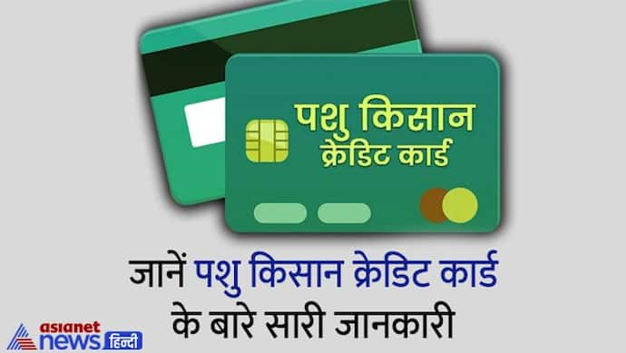 Pashu Kisan Credit Card: पशुपालन या डेयरी फॉर्मिंग कर रहे प्लान, सरकार करेगी आपकी मदद, जानें पूरी स्कीम