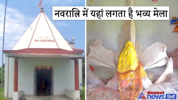 गुजरात के वलसाड़ में है 300 साल पुराना अनोखा मंदिर, यहां होती है मछली की हड्डियों की पूजा