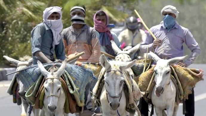 होली की अनोखी प्रथा: महाराष्ट्र के इस गांव में नए दामाद को करनी पड़ती है गधे की सवारी