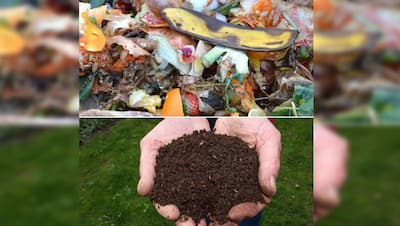 Kitchen Waste Composting: किचन के कचड़े से इस तरह बनाएं पेड़-पौधों के लिए खाद, खिल उठेगा पूरा गार्डन