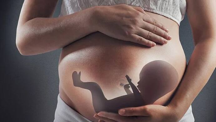 Day of the Unborn Child 2022: जन्म से पहले ही शिशु को हो सकती है ये 5 बीमारियां, इस तरह करें प्रोटेक्शन