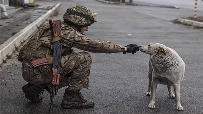 यूक्रेन में जंग लड़ रहे रूसी सैनिक कुत्ते खाकर पेट भरने को मजबूर , सरकार ने थमा दिए थे एक्सपायर्ड फूड पैकेट  