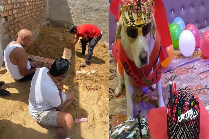 राजस्थान के सीकर की अनोखी घटना: डॉगी की मौत पर रोया परिवार, आत्मा की शांति के लिए किया यज्ञ और भंडारा