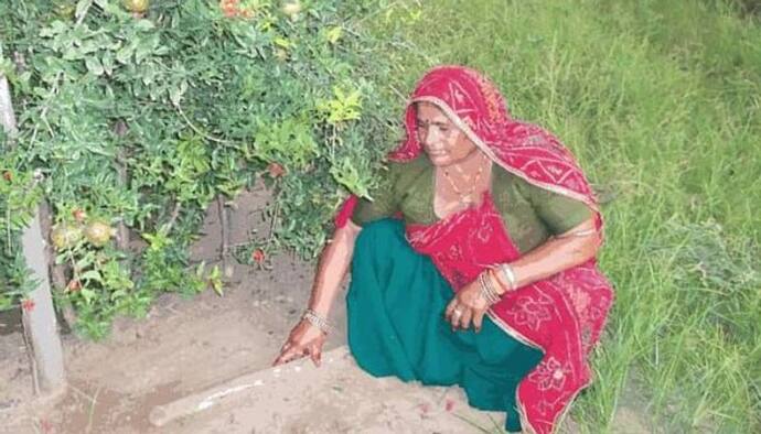 राजस्थान की इस महिला के पास गजब का टैलेंट: खेती को लेकर निकाला ऐसा फॉर्मूला कि हर कोई कर रहा सैल्यूट