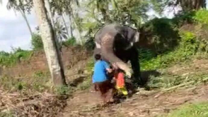 खाना खिलाने गए बच्चे पर हाथी ने किया हमला, सुंड से पकड़कर खींचा, वीडियो में देखें कैसे बची जान