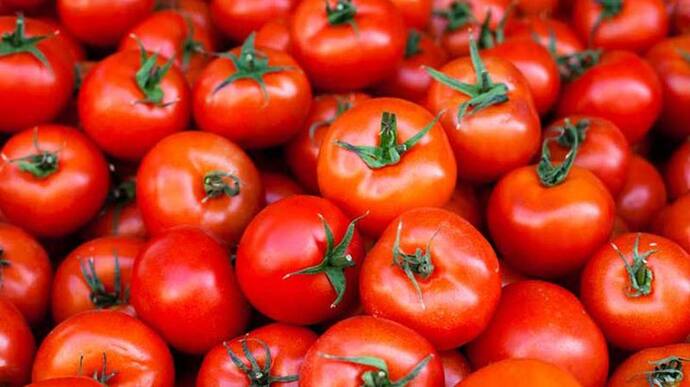 Tomato Rate: रसोईघर से दूर हुआ टमाटर, 80 से 100 रुपया किलो हो गया रेट
