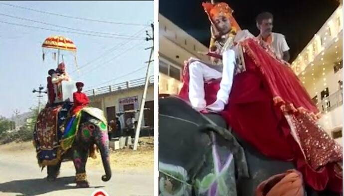 MP के गुना में दूल्हे राजा हाथी पर लेने पहुंचे दुल्हनियां, राजशाही ठाठ वाली बारात देखने उमड़ी भीड़