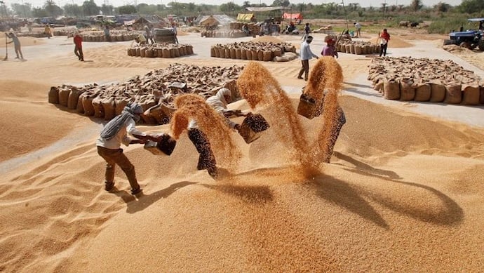 भारत ने गेहूं निर्यात पर लगाया प्रतिबंध, दो दिन पहले की थी बड़े एक्सपोर्ट टारगेट की घोषणा