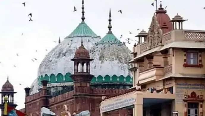 मथुरा की शाही ईदगाह मस्जिद में पूजा और लड्डू भगवान के अभिषेक की मांग को लेकर याचिका हुई दाखिल